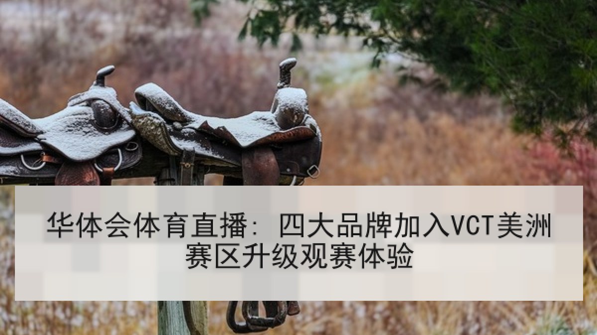 华体会体育直播: 四大品牌加入VCT美洲赛区升级观赛体验