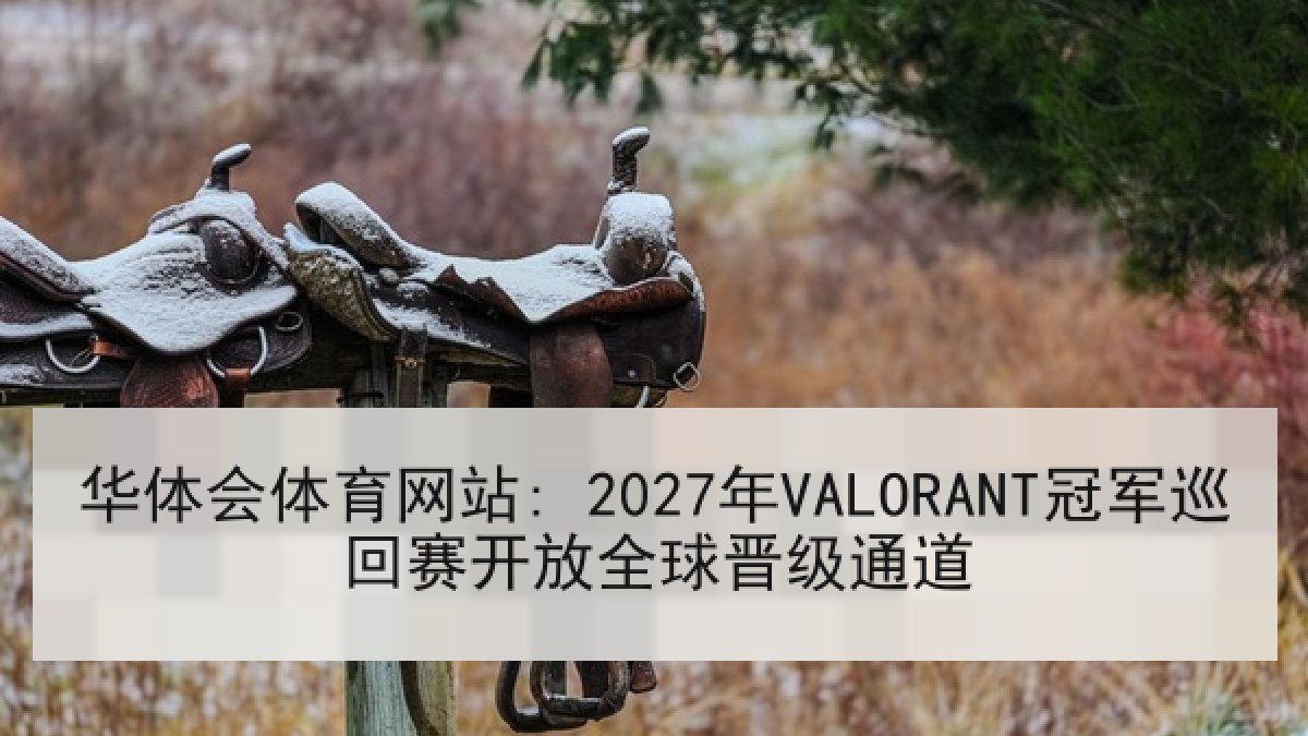 华体会体育网站: 2027年VALORANT冠军巡回赛开放全球晋级通道