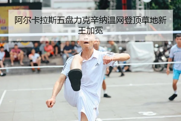 a-er-ka-la-si-wu-pan-li-ke-xin-na-wen-wang-deng-ding-cao-di-xin-wang-jia-mian-2-745.jpg