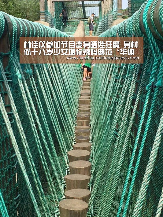 华体会真人