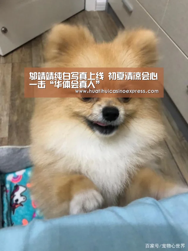 华体会登录